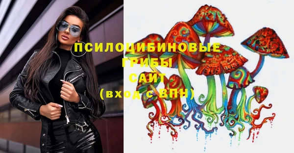 apvp Алексеевка