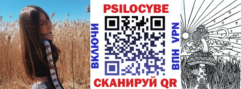 Галлюциногенные грибы Psilocybe  Новоуральск 